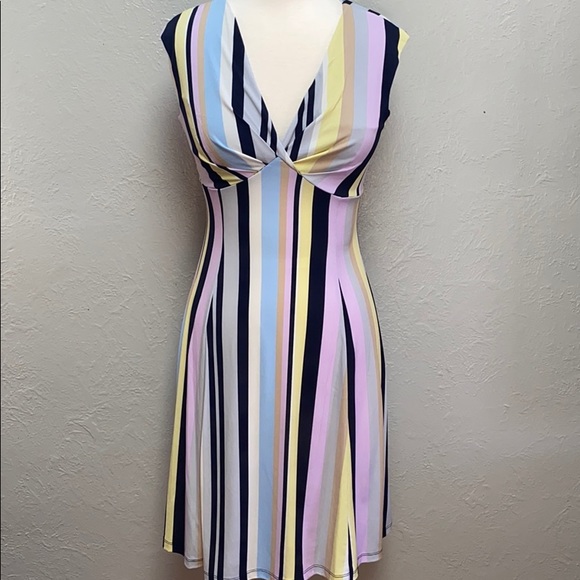 Enfocus Studio Dresses & Skirts - 2/$30 Striped V-Neck Empire Midi Dress